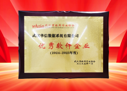 喜讯丨OB视讯(中国)数据获评2024~2025年度武汉市软件行业&ldquo;优秀企业&rdquo;、&ldquo;优秀工作者&rdquo;荣誉称号！